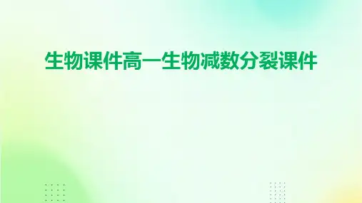 生物课件高一生物减数分裂课件