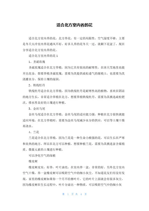 适合北方室内养的花