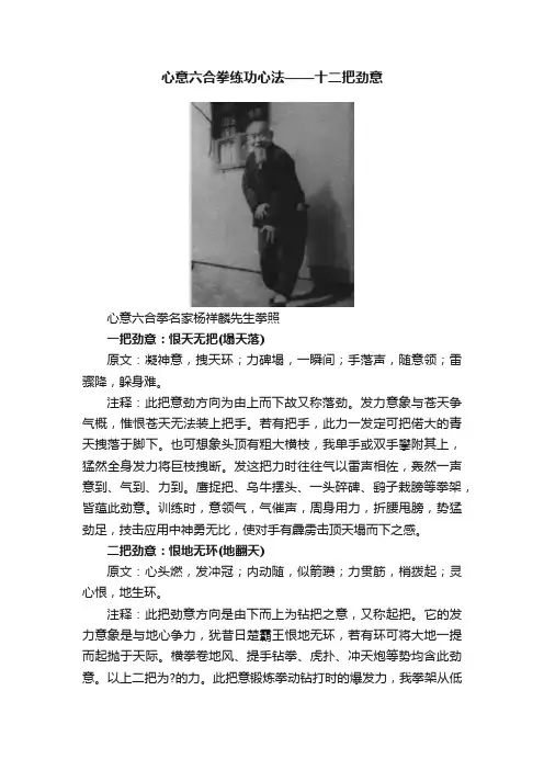 心意六合拳练功心法——十二把劲意