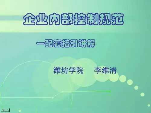 企业内部控制规范(PPT 49张)