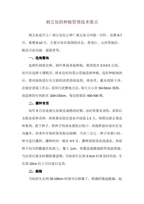 刺五加的种植管理技术要点