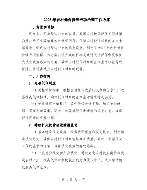2023年农村低保持续专项治理工作方案