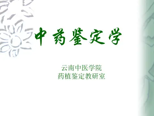 中药鉴定学ppt课件