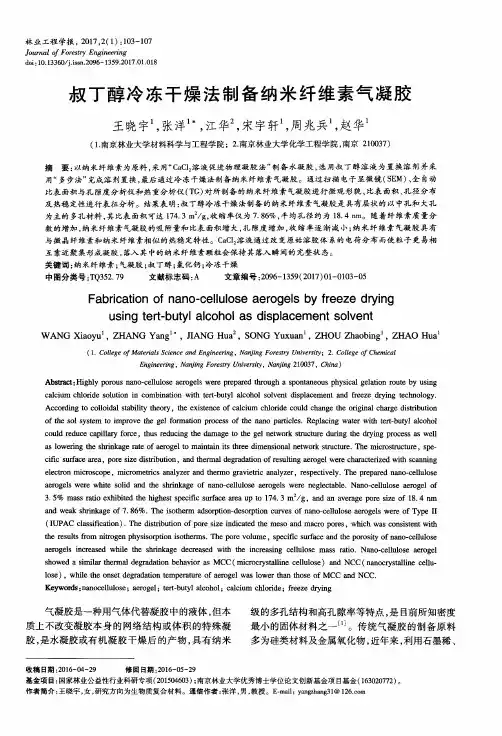 叔丁醇冷冻干燥法制备纳米纤维素气凝胶