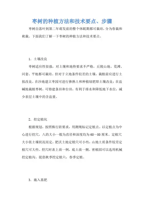 枣树的种植方法和技术要点、步骤