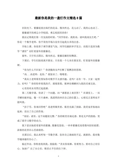 最新你是我的一盏灯作文精选8篇