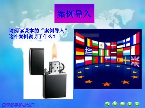 非关税国际贸易及措施管理知识分析33页PPT.pptx