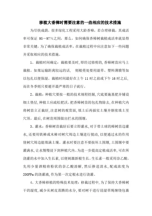 移植大香樟时需要注意的一些相应的技术措施