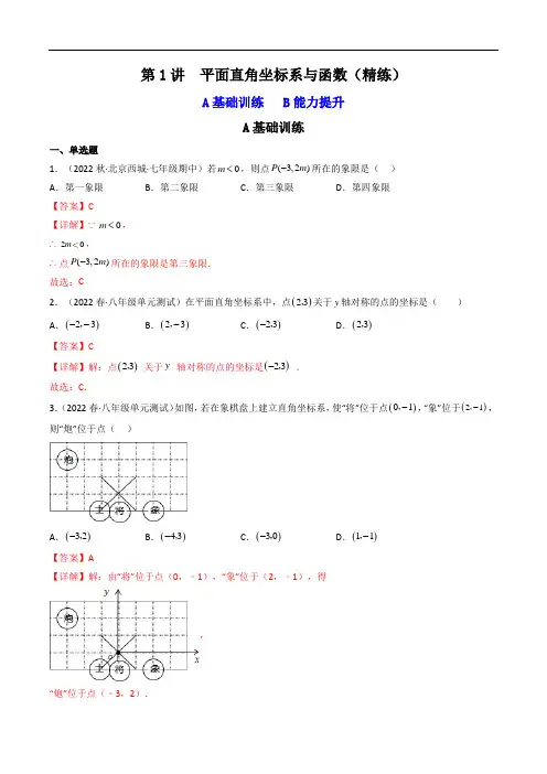 第1讲  平面直角坐标系与函数(题型精练)(解析版)