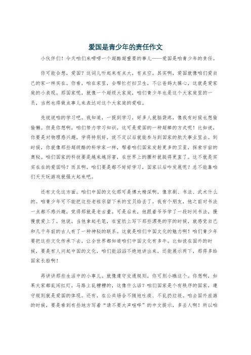 爱国是青少年的责任作文