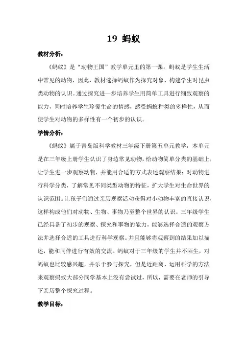 小学科学19《蚂蚁》教案