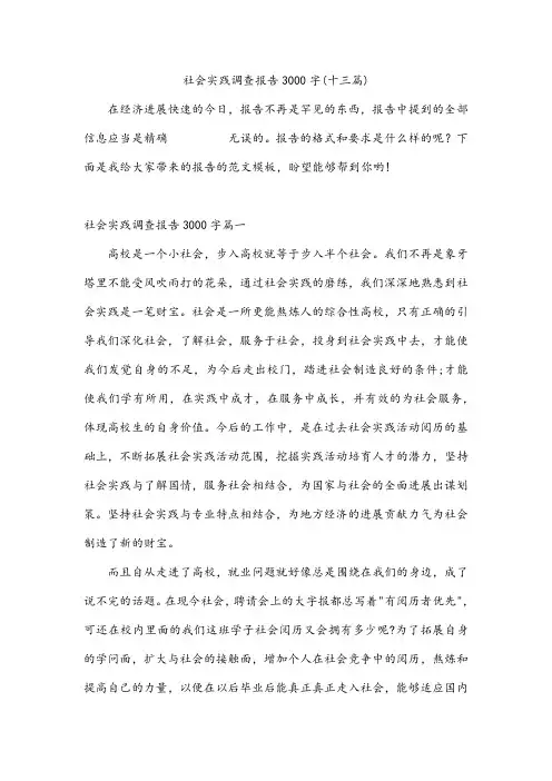 社会实践调查报告3000字(十三篇)