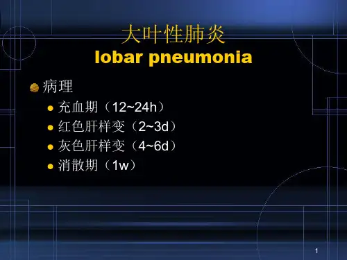 肺部炎症影像诊断PPT演示课件