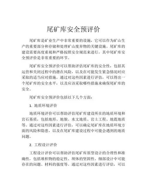 尾矿库安全预评价