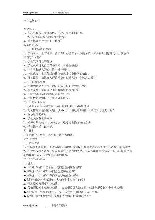 一片完整的叶