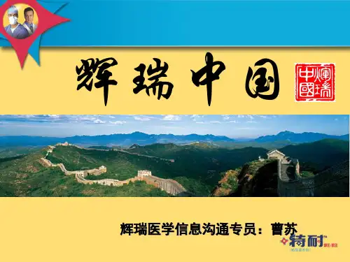 特耐护理西乐葆幻灯片新11.12