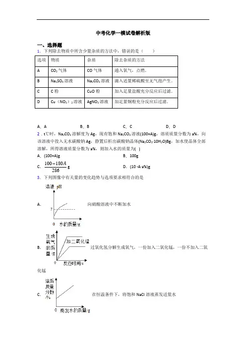 中考化学一模试卷解析版