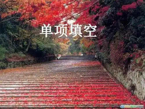 高考英语单选题做题技巧