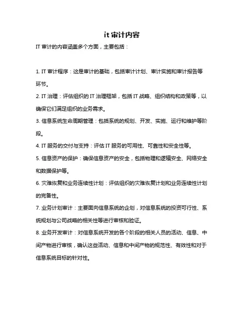 it审计内容