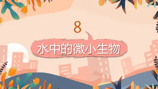 水中的微小生物ppt课件