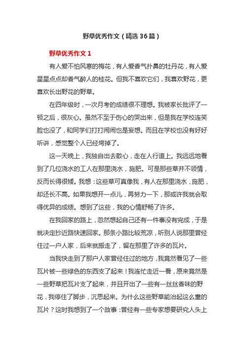 野草优秀作文(精选36篇)