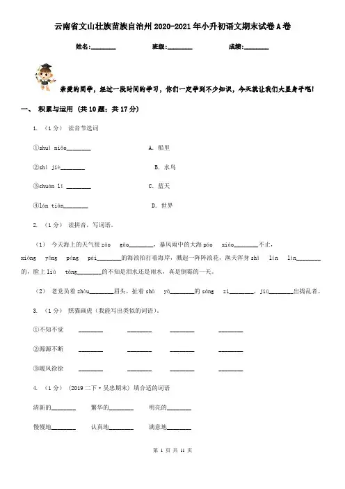 云南省文山壮族苗族自治州2020-2021年小升初语文期末试卷A卷(模拟)