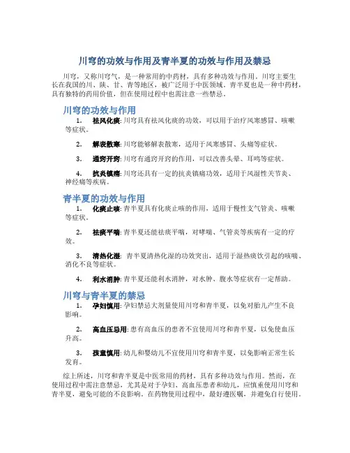 川穹的功效与作用点的功效与作用及禁忌青半夏