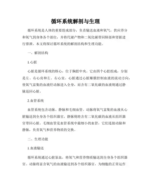 循环系统解剖与生理