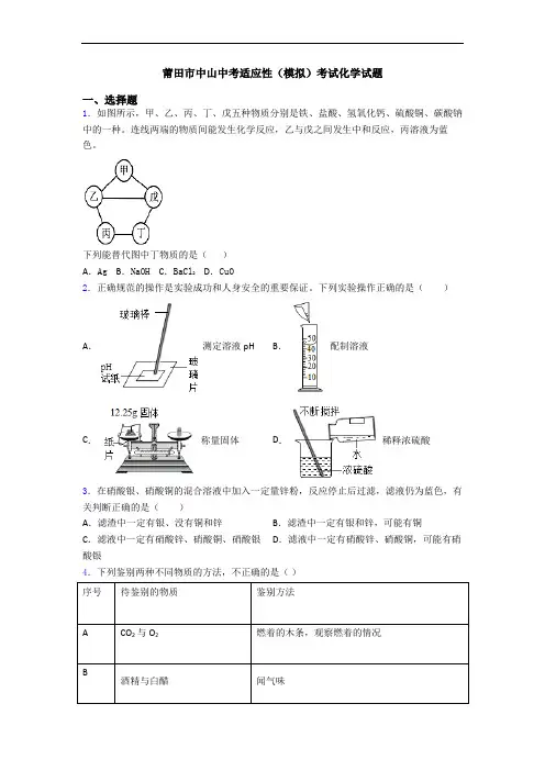 莆田市中山中考适应性(模拟)考试化学试题