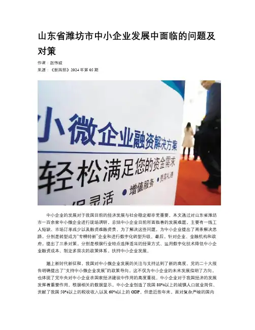 山东省潍坊市中小企业发展中面临的问题及对策