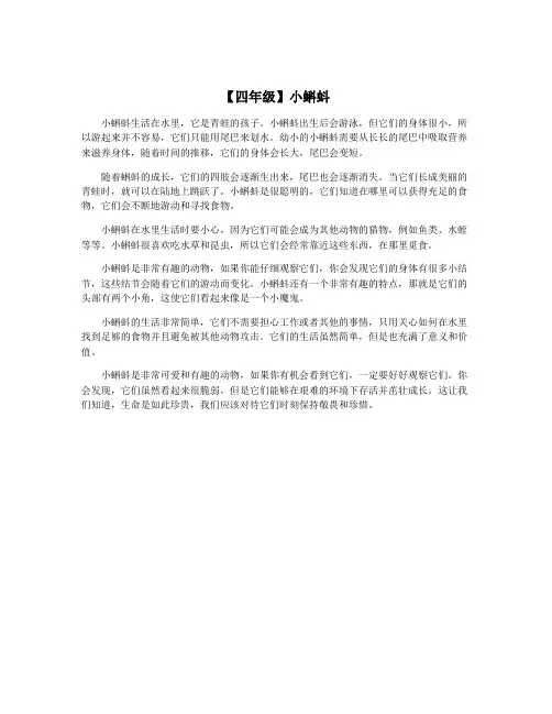【四年级】小蝌蚪