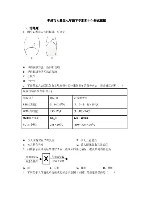 孝感市人教版七年级下学期期中生物试题题