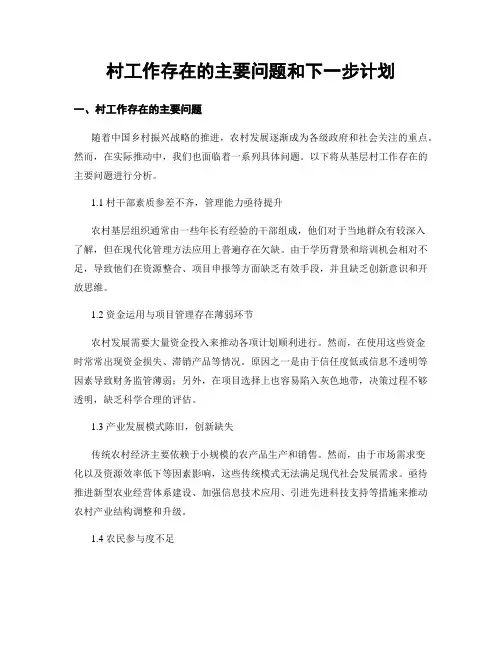 村工作存在的主要问题和下一步计划
