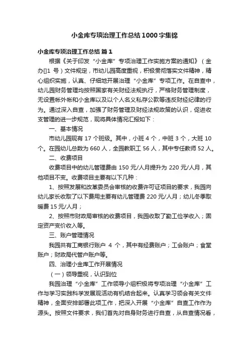 小金库专项治理工作总结1000字集锦