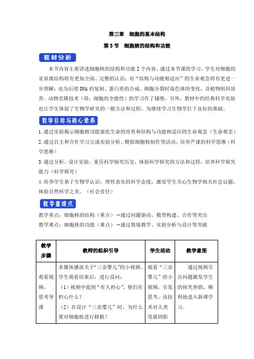 3.3细胞核的结构和功能教学设计-2024-2025学年高一上学期生物人教版必修1