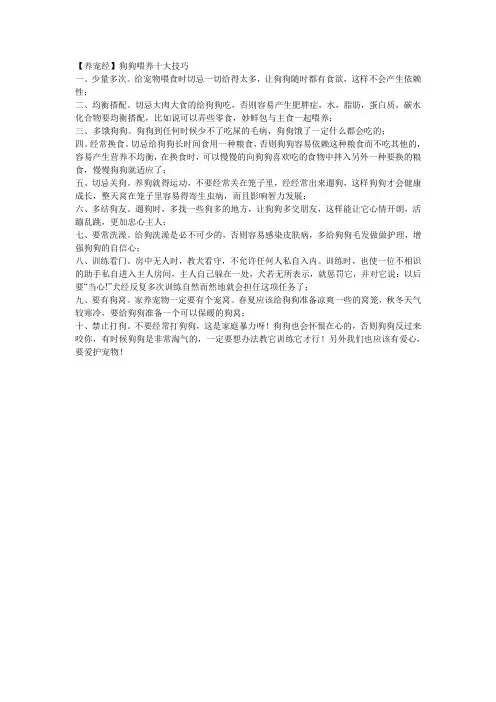【养宠经】狗狗喂养十大技巧-狗狗喂食技巧
