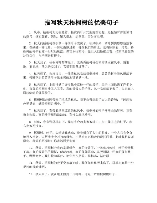 描写秋天梧桐树的优美句子