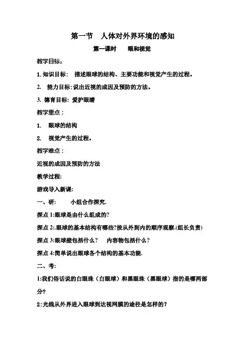 眼和视觉   教案正式