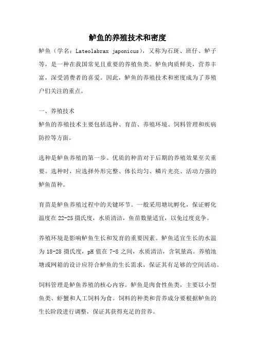 鲈鱼的养殖技术和密度