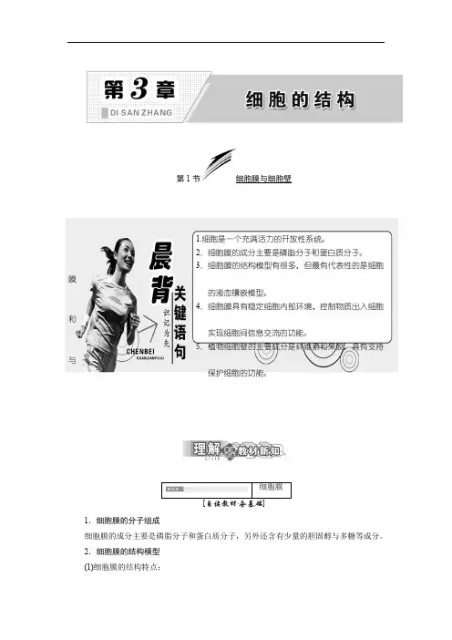 2019-2020学年高中生物北师大版必修一教学案：第3章 第1节 细胞膜与细胞壁 Word版含答案