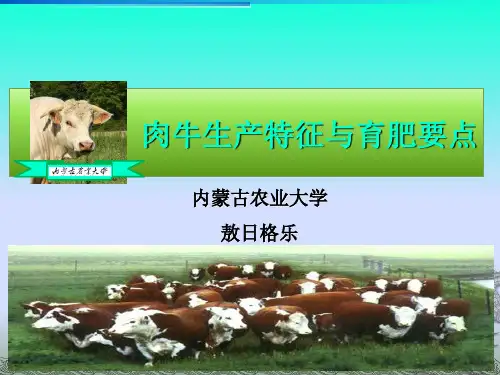 肉牛饲养管理技术PPT精选文档
