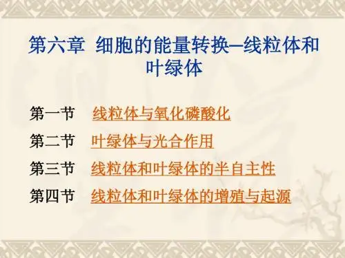 第六章细胞的能量转换
