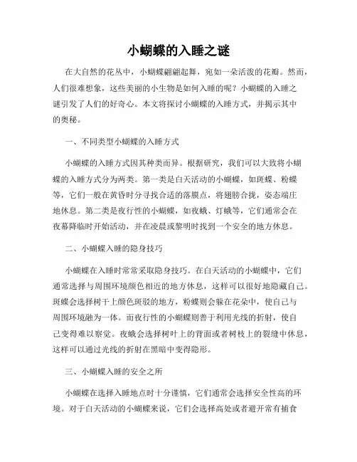 小蝴蝶的入睡之谜