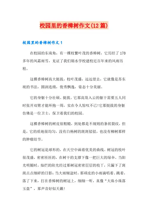 校园里的香樟树作文(12篇)
