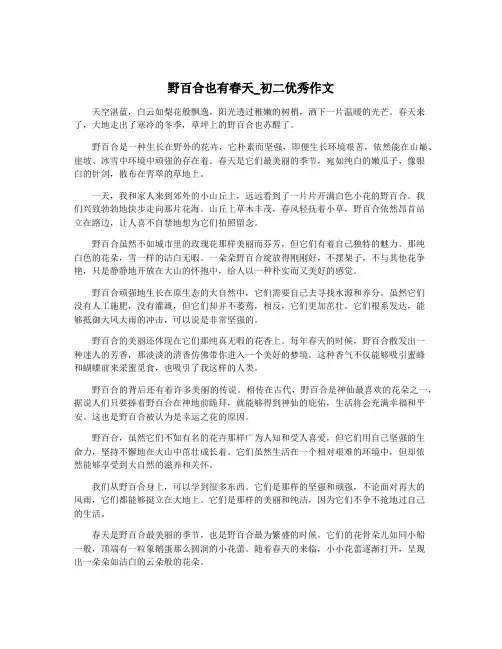 野百合也有春天_初二优秀作文
