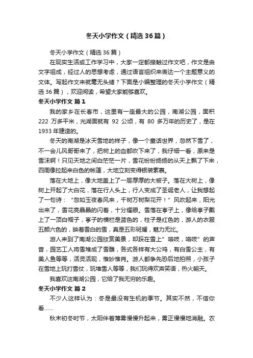 冬天小学作文（精选36篇）