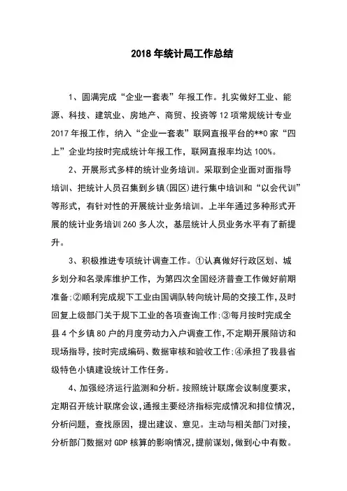 2018年统计局工作总结