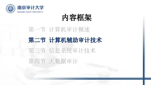 计算机辅助审计