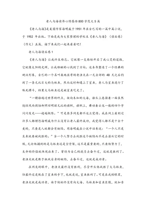 老人与海读书心得感悟800字范文5篇