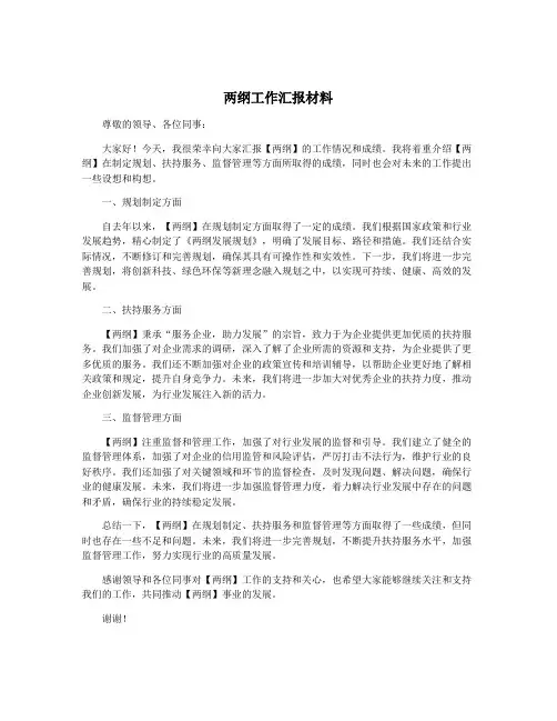 两纲工作汇报材料